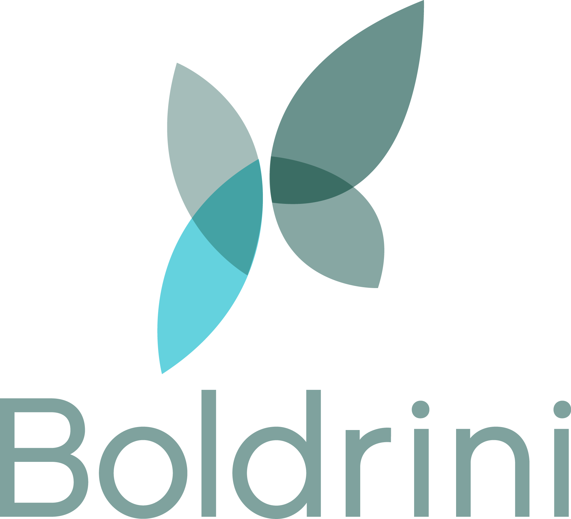 Logo Boldrini